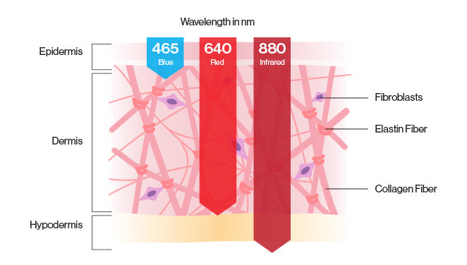 Infrared, red and blue light wavelengths in nanometers