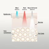 Illustration of how Celluma uses blue light therapy, red light therapy, and near-infrared light therapy to treat acne.  The labels on the illustration say 'Epidermis', 'Dermis', 'Sub-cutaneous', 'Fat Cells', along with 'Blue 465nm', 'Red 640nm', and 'Near-Infrared 880nm'