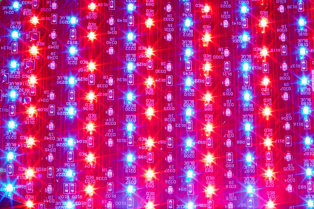 Red Light Blue Light Celluma