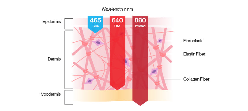 LED light therapy wavelengths diagram showing Blue Light 400–495 nm for acne, Red Light 630–700 nm for collagen and anti-aging, and Near Infrared Light 700–1000 nm for pain relief and deep tissue treatment