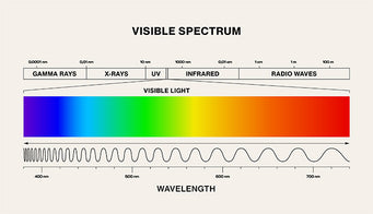 The Electromagnetic Spectrum showing visible wavelengths of light from violet to red.