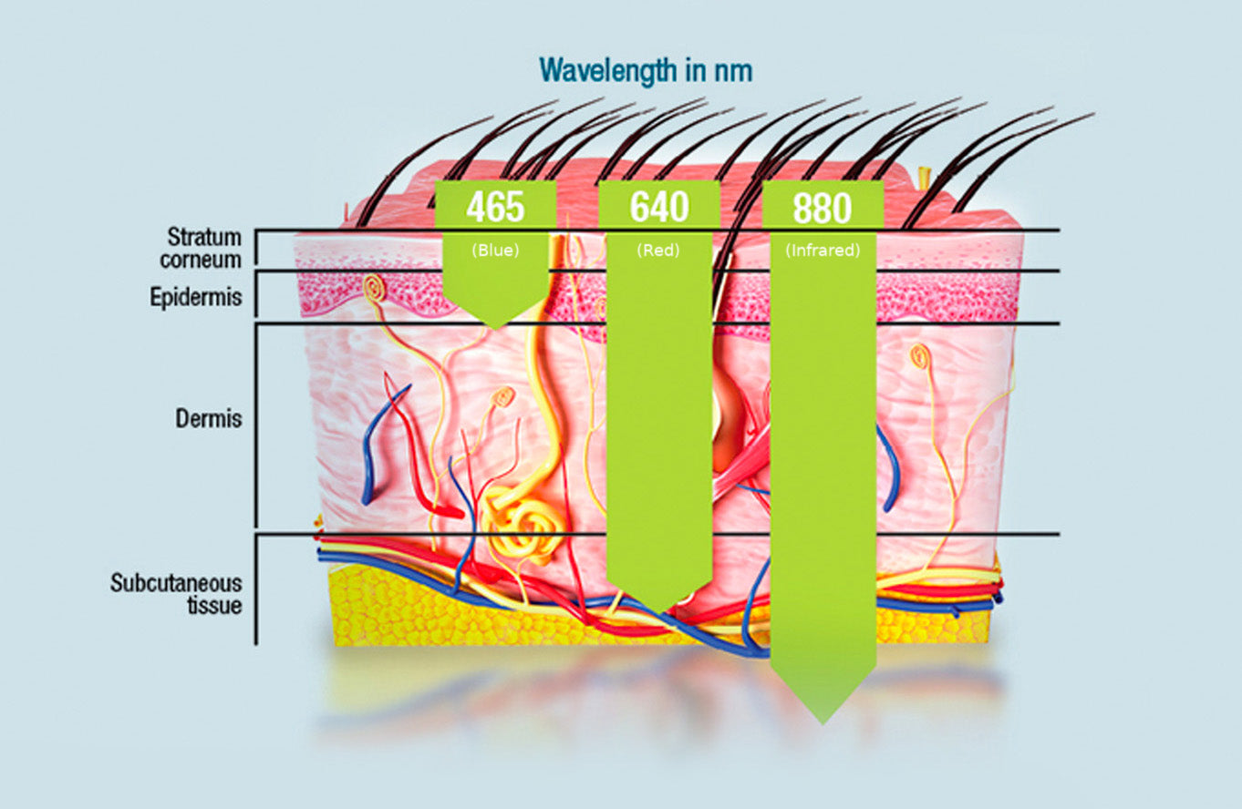 Depth of Light Therapy in Skin